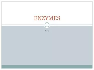 ENZYMES