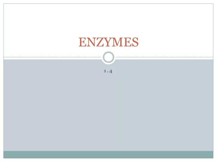 enzymes