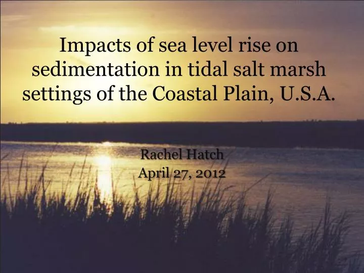 impacts of sea level rise on sedimentation in tidal salt marsh settings of the coastal plain u s a