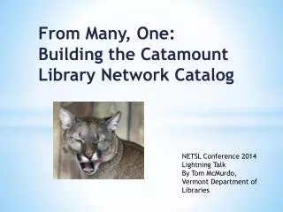 From Many, One: Building the Catamount Library Network Catalog