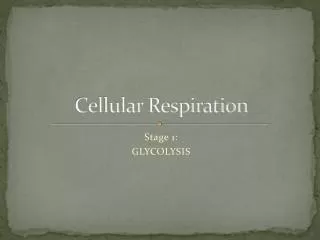 Cellular Respiration