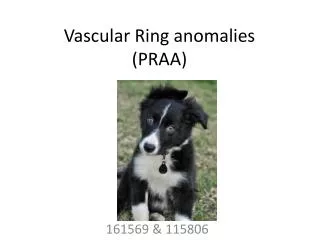 Vascular Ring anomalies (PRAA)