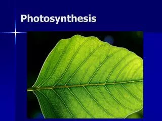 Photosynthesis