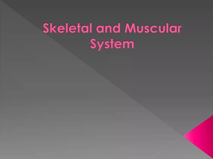 skeletal and muscular system