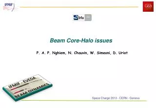 Beam Core-Halo issues