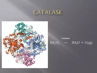 Catalase