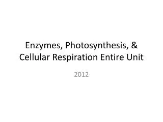 Enzymes, Photosynthesis, &amp; Cellular Respiration Entire Unit