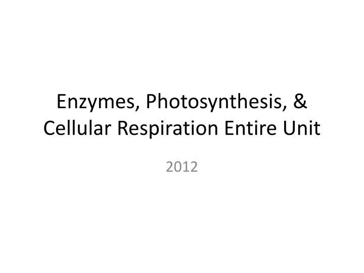 enzymes photosynthesis cellular respiration entire unit