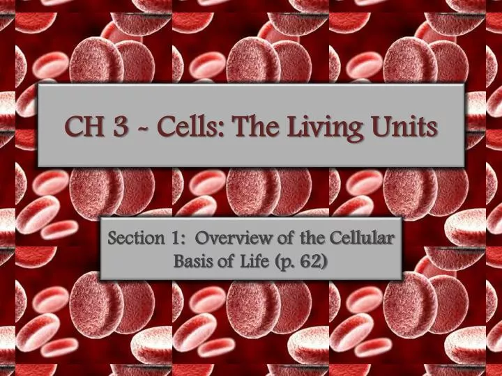 ch 3 cells the living units