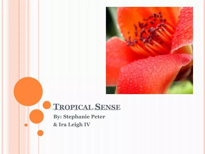 tropical sense