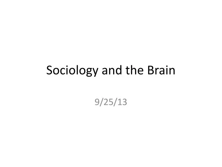 sociology and the brain
