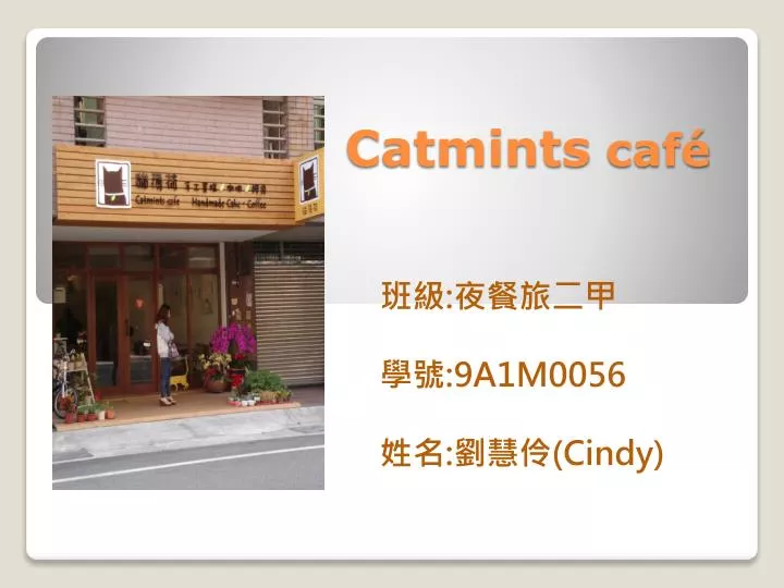 catmints caf