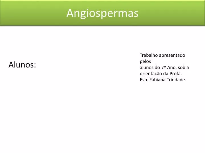 angiospermas