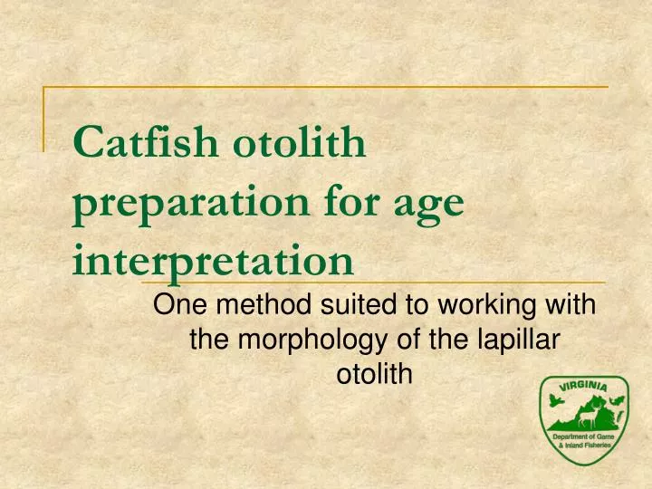 catfish otolith preparation for age interpretation