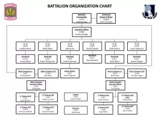 BATTALION ORGANIZATION CHART