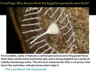 FrontPage: Why do you think the Egyptian pyramids were built?