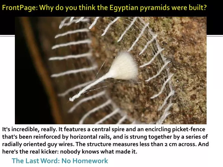 frontpage why do you think the egyptian pyramids were built