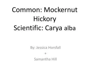 Common : Mockernut Hickory Scientific: Carya a lba