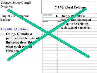 Sponge: Set up Cornell Notes on Topic: 7.3 Vertebral Column Essential Question :