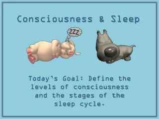 Consciousness &amp; Sleep