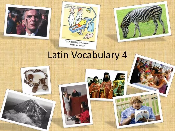 latin vocabulary 4