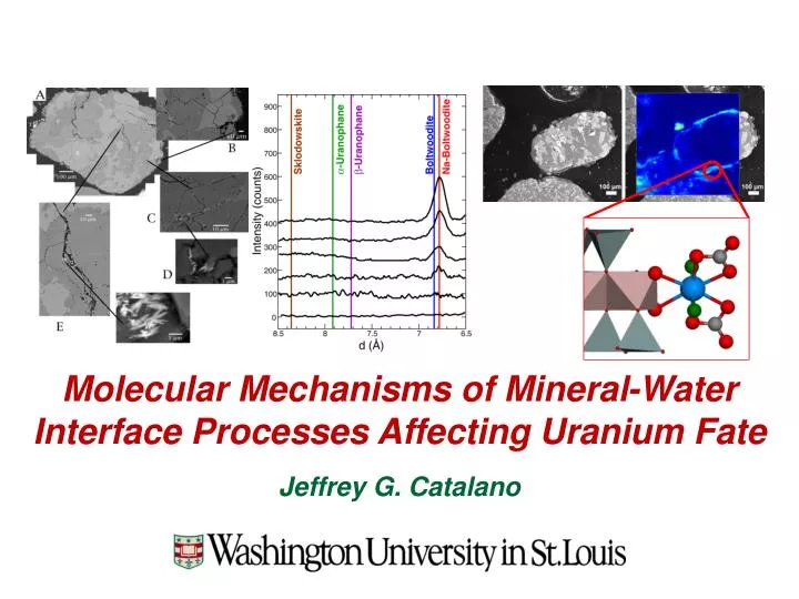 molecular mechanisms of mineral water interface processes affecting uranium fate