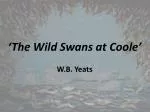 ‘The Wild Swans at Coole ’ - slide 1