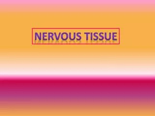 Nervous tissue