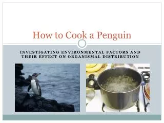 How to Cook a Penguin