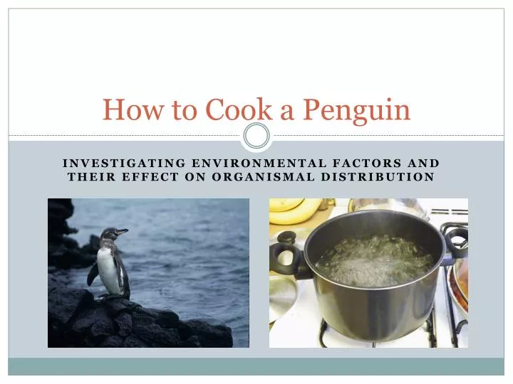 how to cook a penguin
