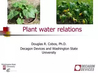 Plant water relations