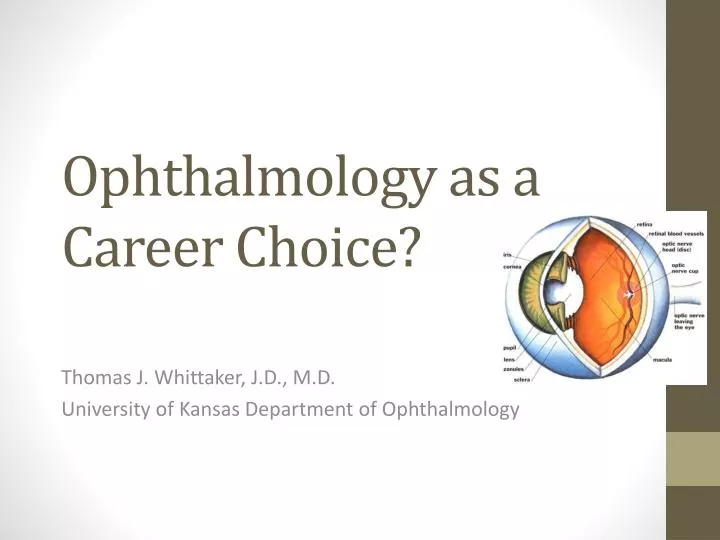 ophthalmology as a career choice