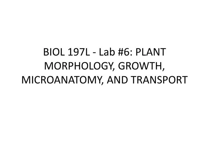biol 197l lab 6 plant morphology growth microanatomy and transport