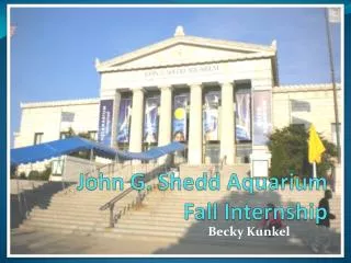 John G. Shedd Aquarium Fall Internship