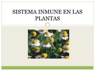 sistema inmune en las plantas