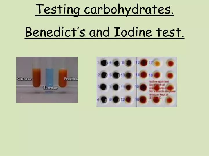 testing carbohydrates benedict s and iodine test