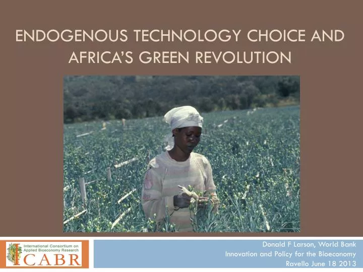 e ndogenous technology choice and africa s green revolution