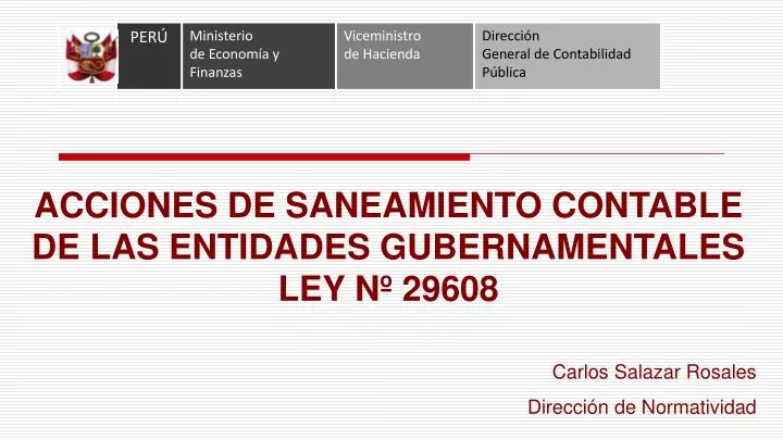 acciones de saneamiento contable de las entidades gubernamentales ley n 29608