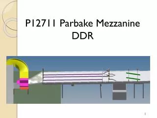 P12711 Parbake Mezzanine DDR