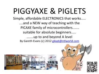 PIGGYAXE &amp; PIGLETS Simple, affordable ELECTRONICS that works.....