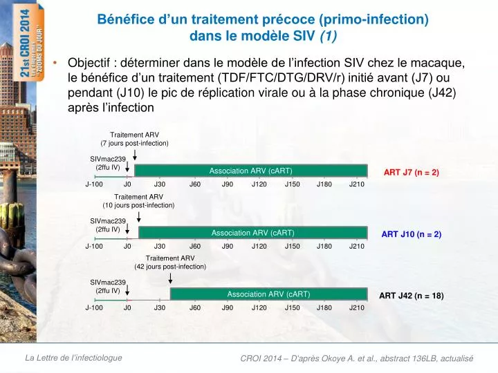 b n fice d un traitement pr coce primo infection dans le mod le siv 1