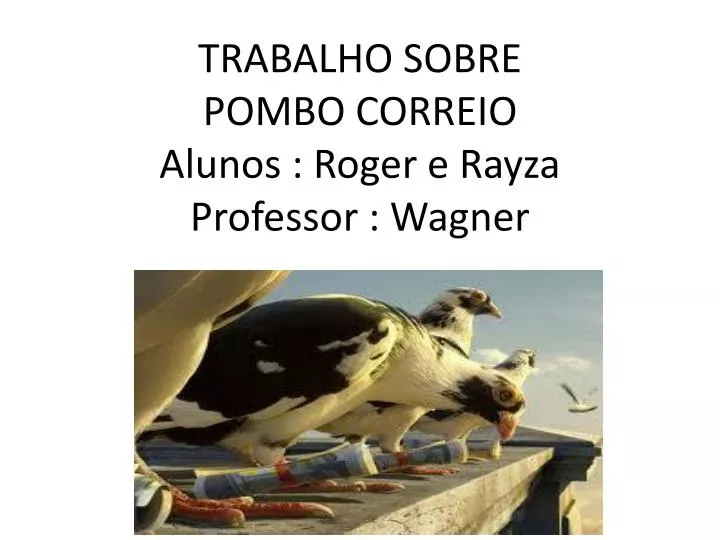 Jogo do Pombo Correio (+5 Anos)