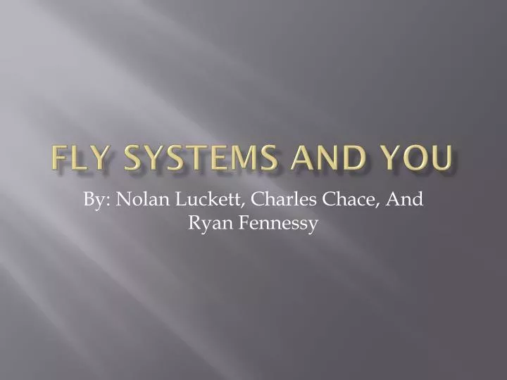 fly systems and you