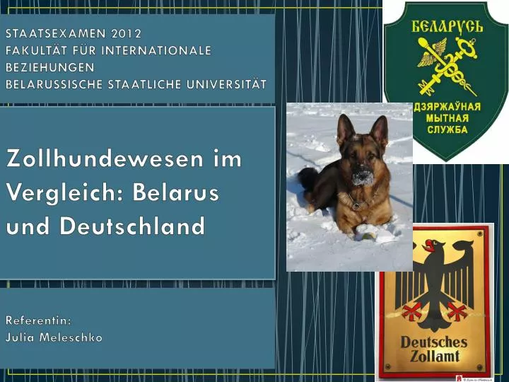 zollhundewesen im vergleich belarus und deutschland