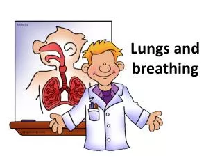 Lungs and breathing