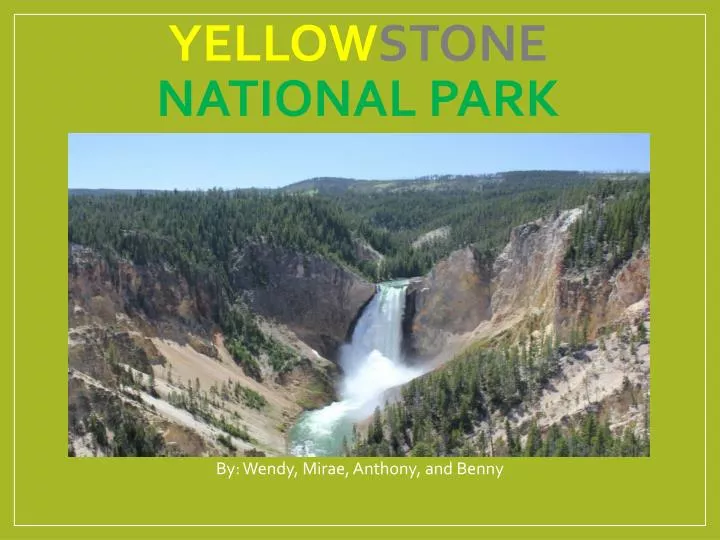 yellow stone national park