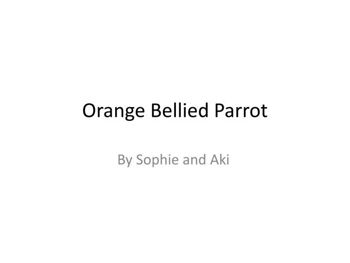 orange bellied parrot