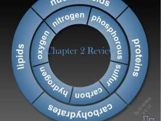 Chapter 2 Review