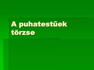 a puhatest ek t rzse