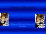 Animal Adaptations - slide 1